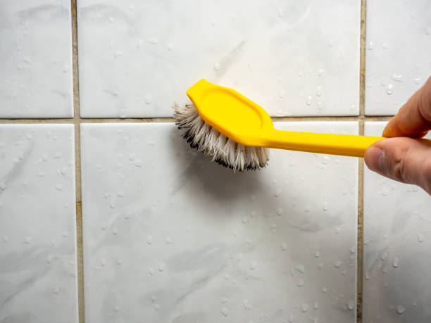 Best Local Mold Removal Service  in Los Alamos, CA