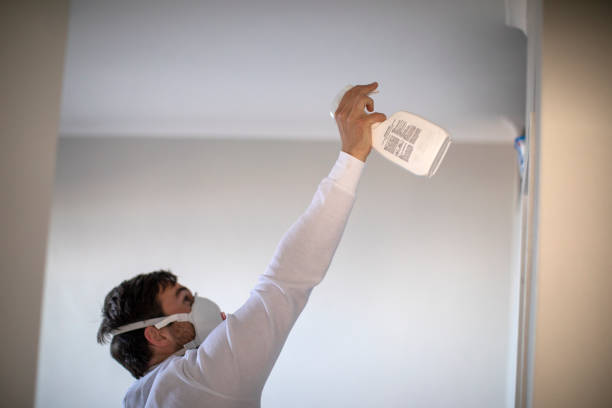 Best Best Mold Removal Companies  in Los Alamos, CA