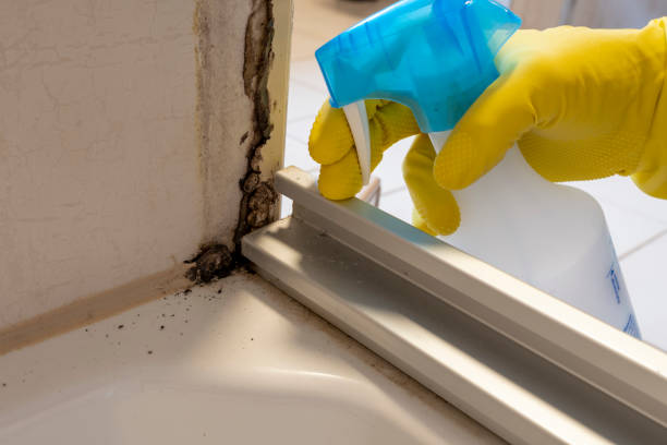 Best Crawl Space Mold Removal  in Los Alamos, CA