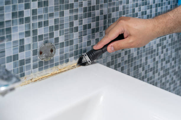 Office Mold Removal Services in Los Alamos, CA